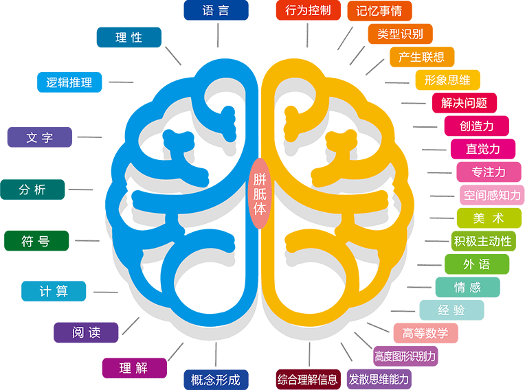 福州早教中心|福州右脑开发|福州感统训练|福州德慧泉